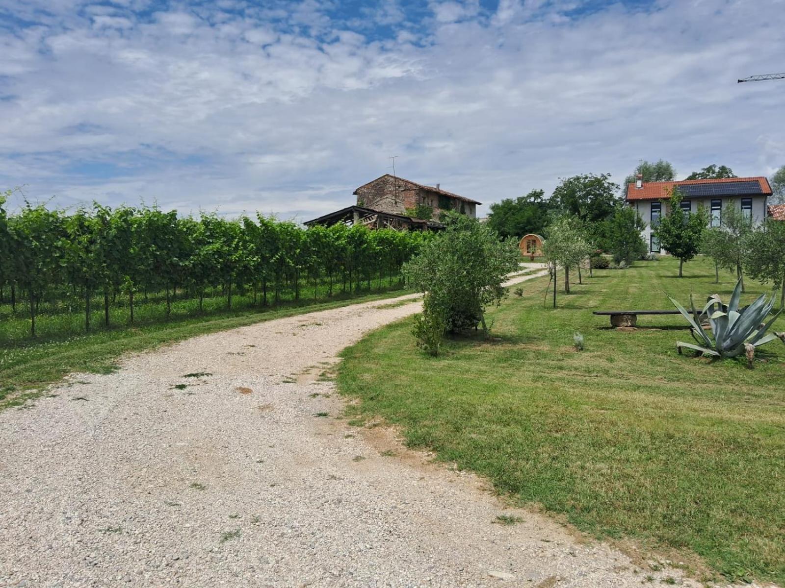 Casa Zafferano - Apartment With Garden Corno di Rosazzo Exterior foto